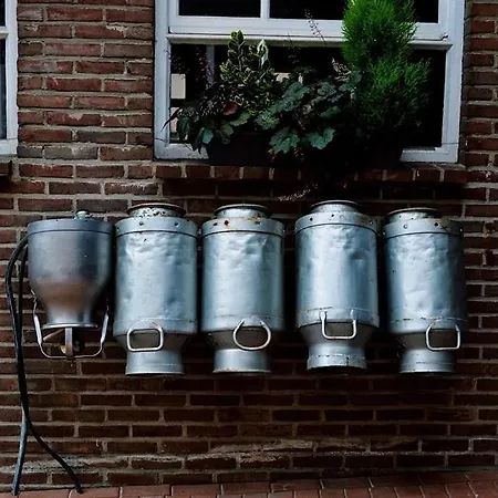 Dom wakacyjny De Moolt