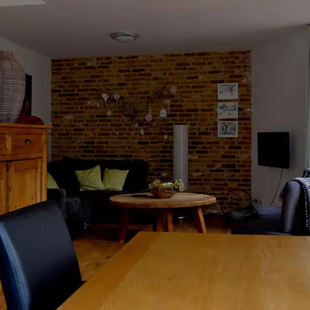 Dom wakacyjny De Moolt Eckelrade